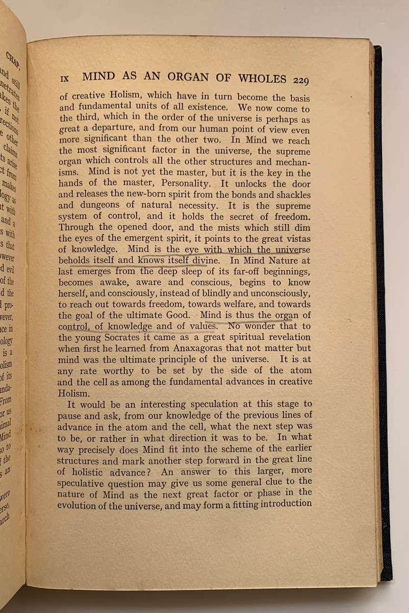 Holism and Evolution