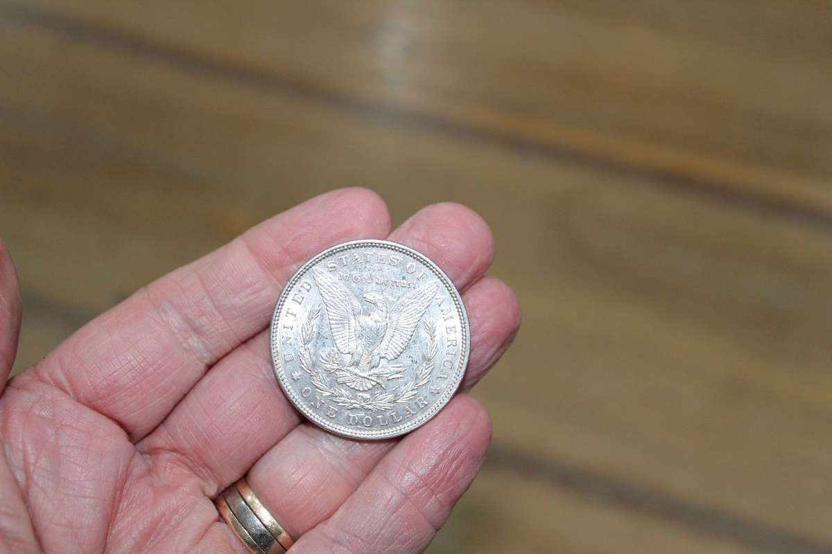 USA Morgan dollar 1887 - excellent!