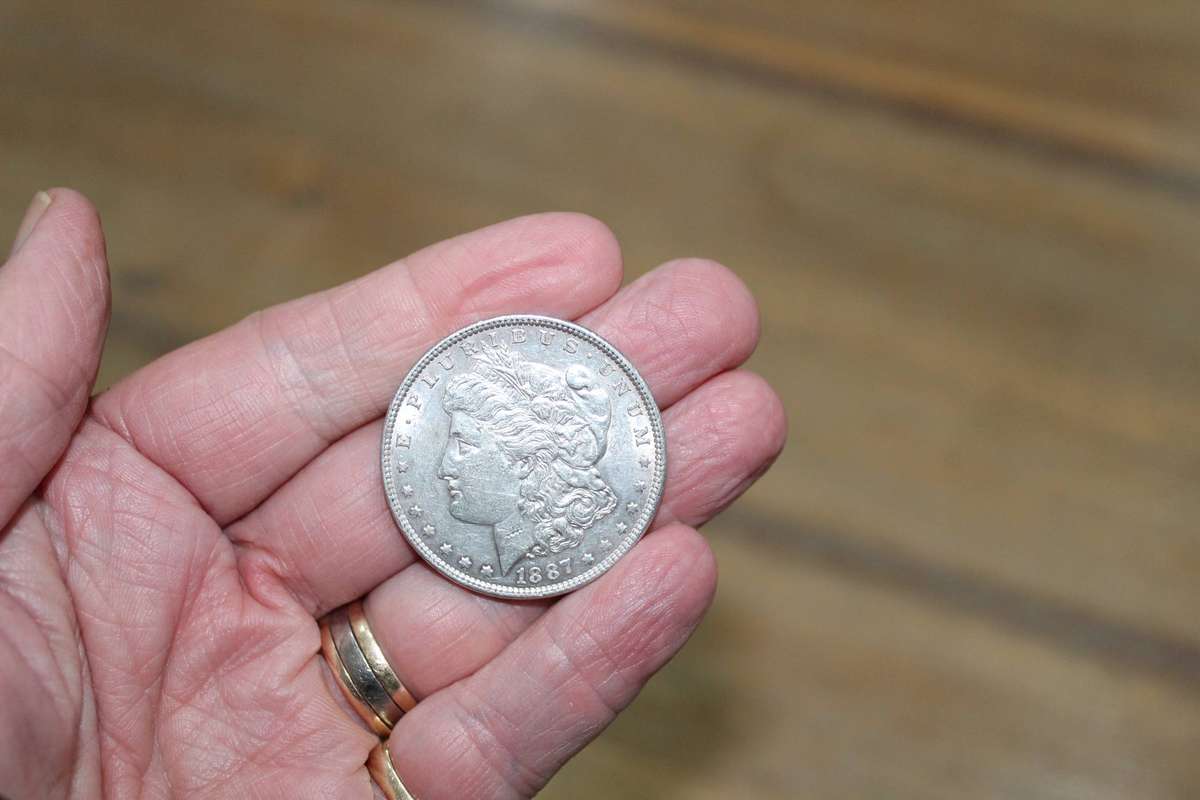 USA Morgan dollar 1887 - excellent!