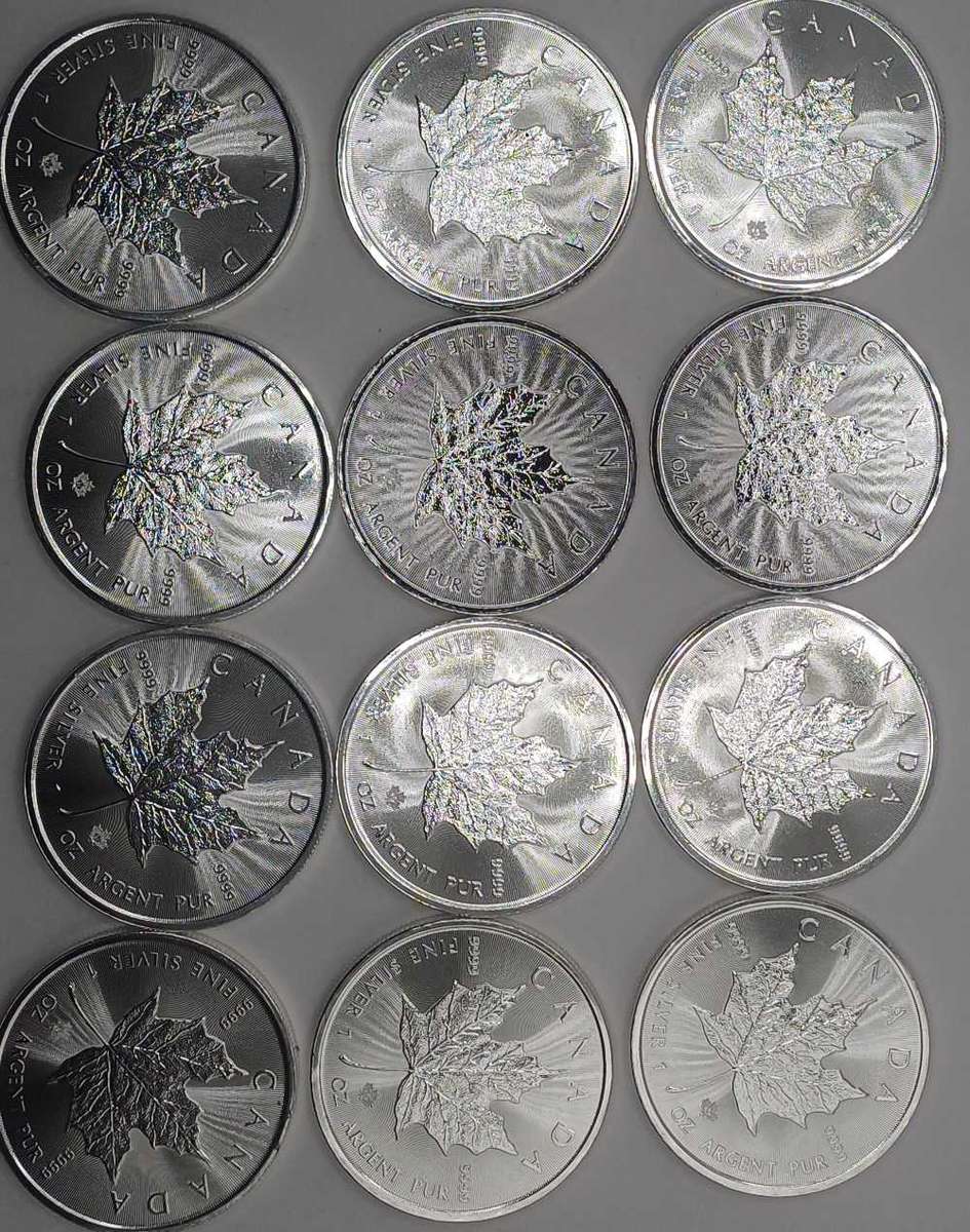 12 x 1oz 2021 Pure Silver Canada Dollats Bid per Coin