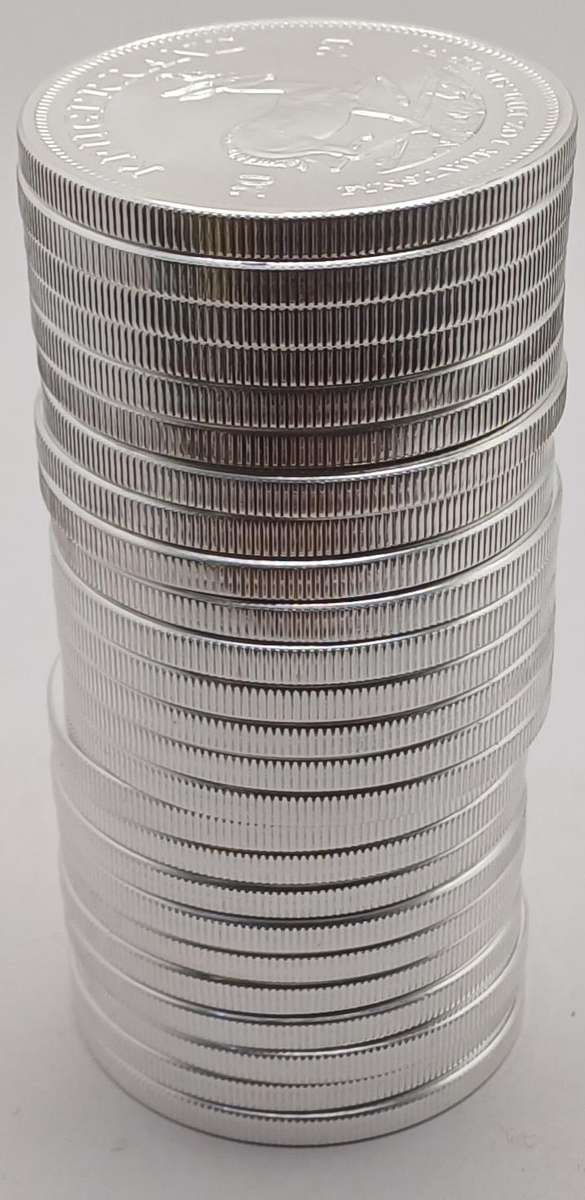 25x2021 Silver Kruger Rands 1oz .999 Silver Bid per coin