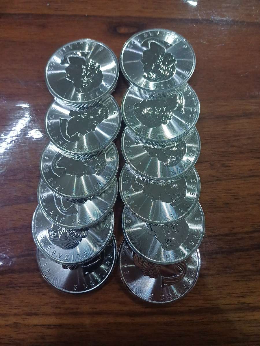 12x1oz 2021 .9999 silver 5 Canada Dollars bid per coin