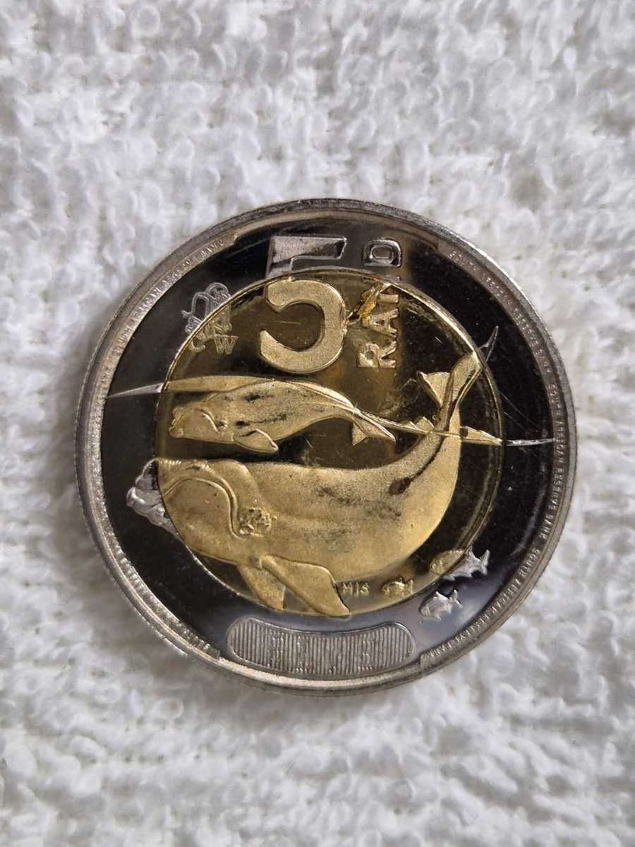 2024 Oom Paul Press CW5Rand ERROR 5Rand Coin not a easy find Real Collectors Coin