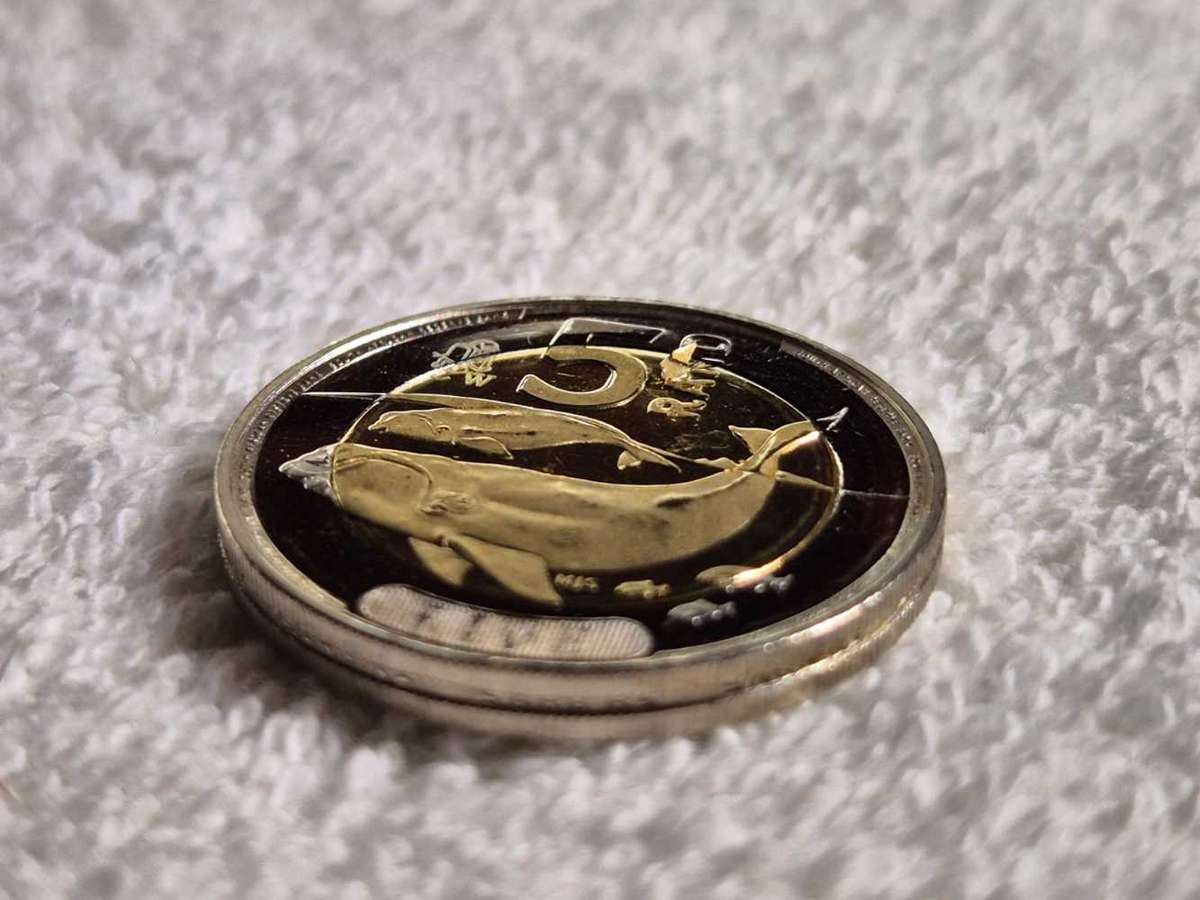 2024 Oom Paul Press CW5Rand ERROR 5Rand Coin not a easy find Real Collectors Coin