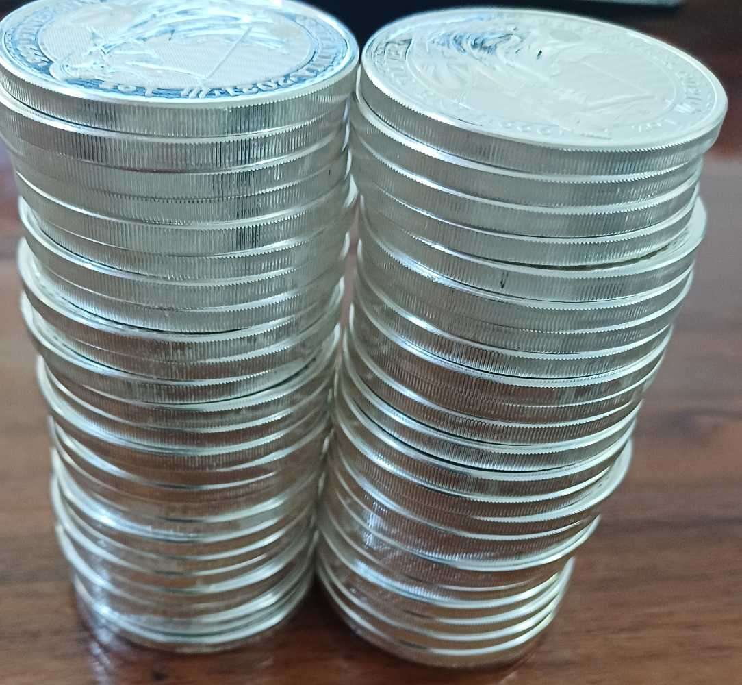 50x2021 1oz .999 silver 2012 2Pounds bid per coin