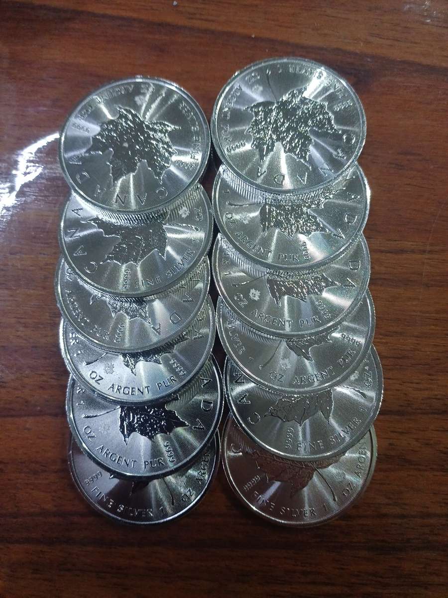 12x1oz 2021 .9999 silver 5 Canada Dollars bid per coin