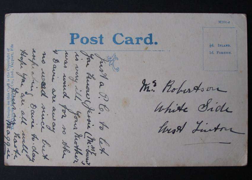 The Cynicus Publishing Co. POSTCARD - Smooth Haired Fox Terrier