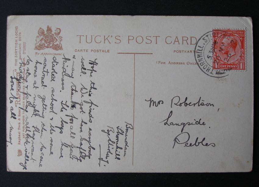 Tuck's Rapholette POSTCARD - Highland Cows - A lone hill-side 1926