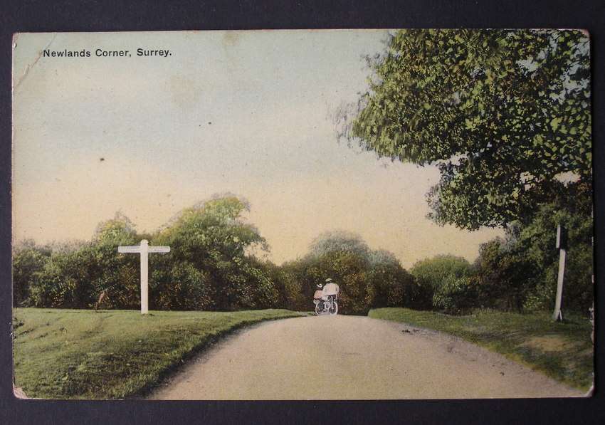 S. & W. Series Antique POSTCARD - Newlands Corner, Surrey