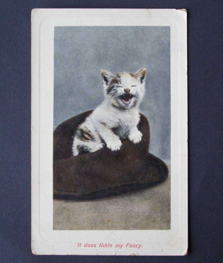 A&G Taylor Reality POSTCARD - It Does Tickle My Fancy 1914