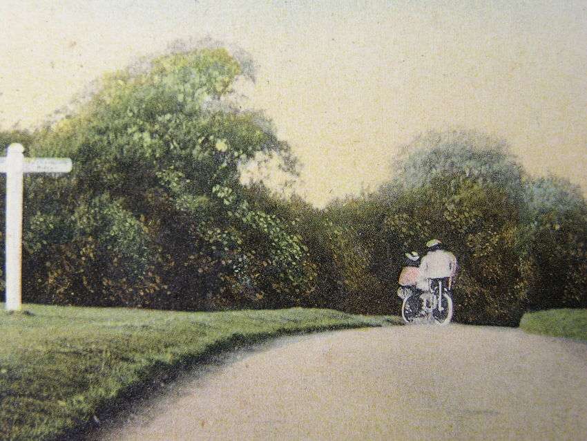 S. & W. Series Antique POSTCARD - Newlands Corner, Surrey