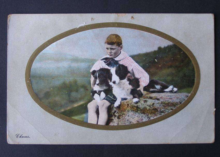 Birn Brothers POSTCARD - Boy with Collies