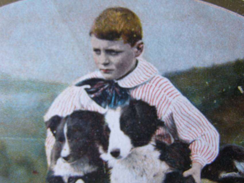 Birn Brothers POSTCARD - Boy with Collies