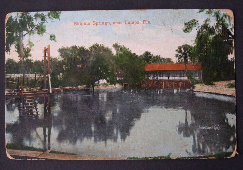 Valentine & Sons American POSTCARD - Sulphur Springs , near Tampa, Florida