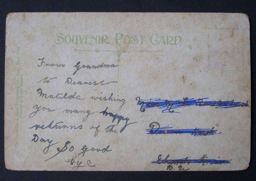 Valentine & Sons American POSTCARD - Sulphur Springs , near Tampa, Florida