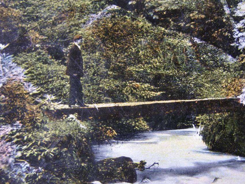 The Eglinton Series POSTCARD - In Rouken Glen 1908