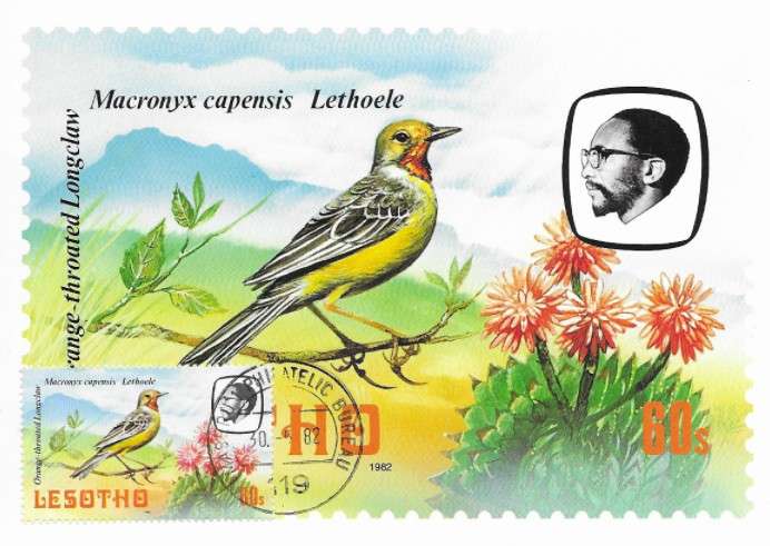 Lesotho - Birds Maxi Card