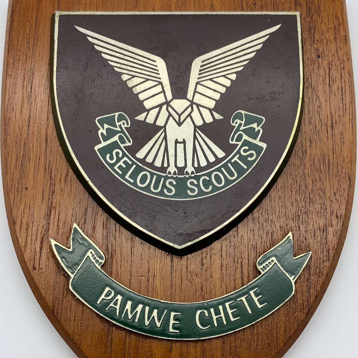 Rhodesian Army Special Forces 'Selous Scouts' Wall Plaque