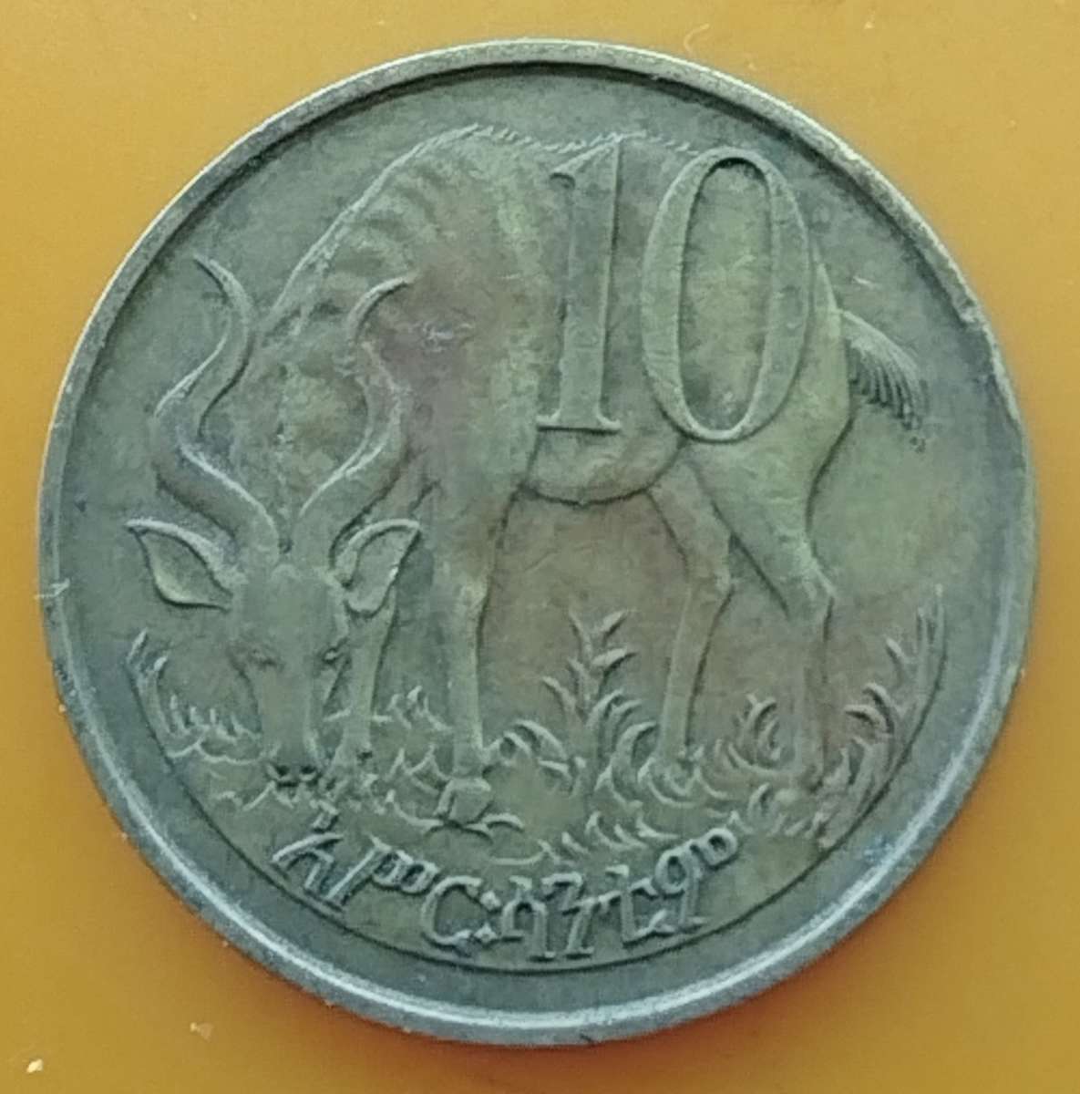 10  Santeem COIN        Ethiopia                    SUN14727