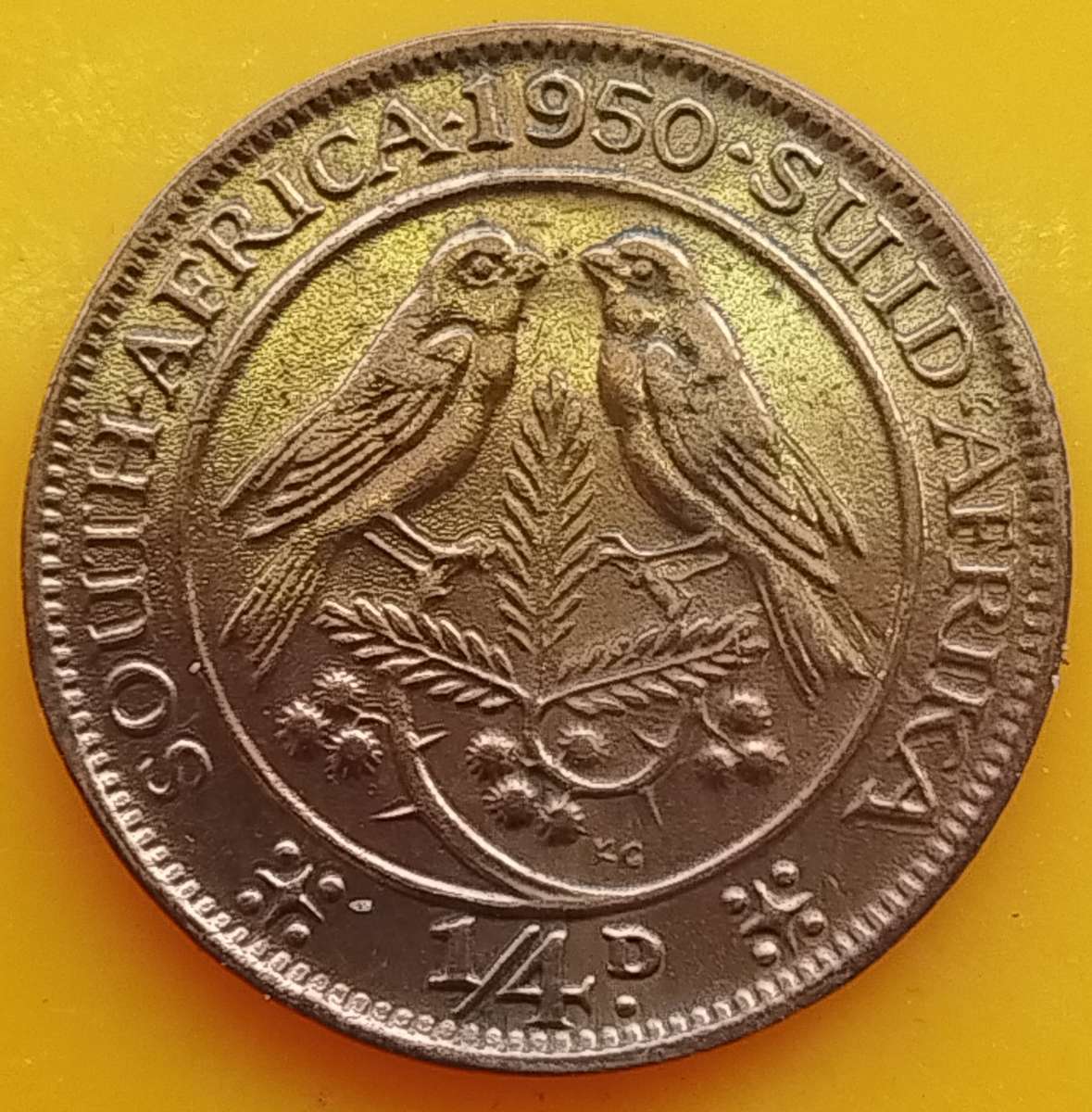 1950       QUARTER  PENNY  COIN        SA                       SUN15038