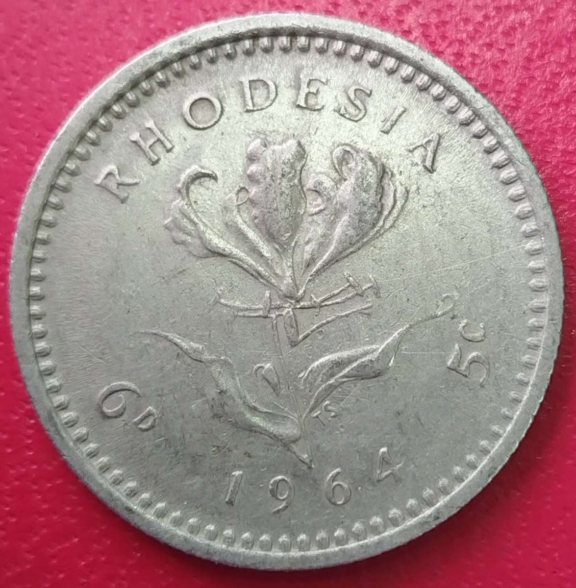 1964     FIVE CENT / 6D  COIN       Rhodesia               SUN15050
