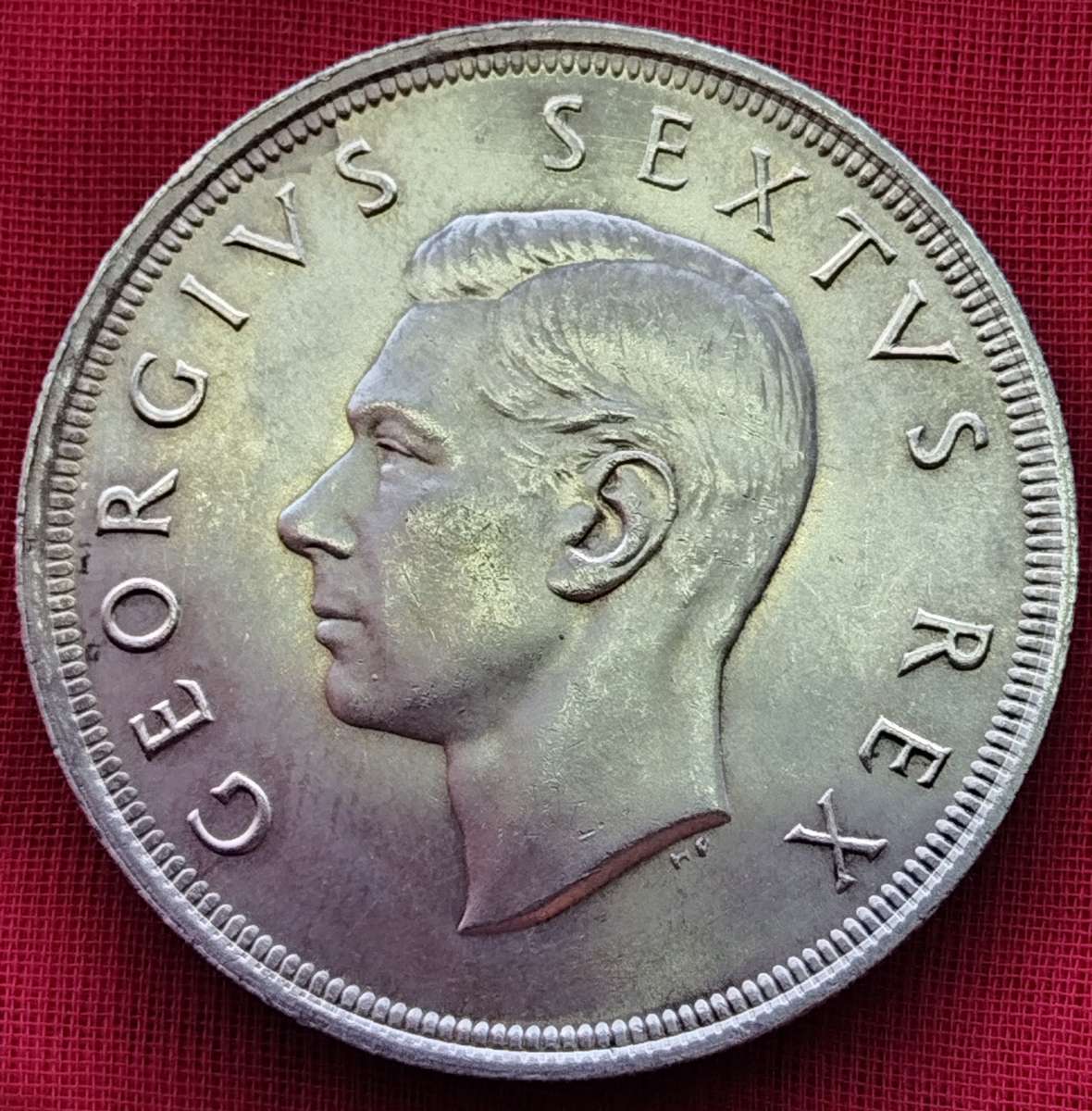 1951    5 SHILLING  COIN      (SILVER )       SUN15400
