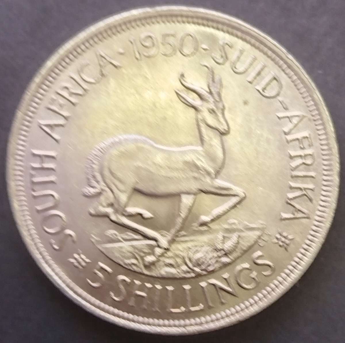 1950    5 SHILLING  COIN      (SILVER )       SUN15409