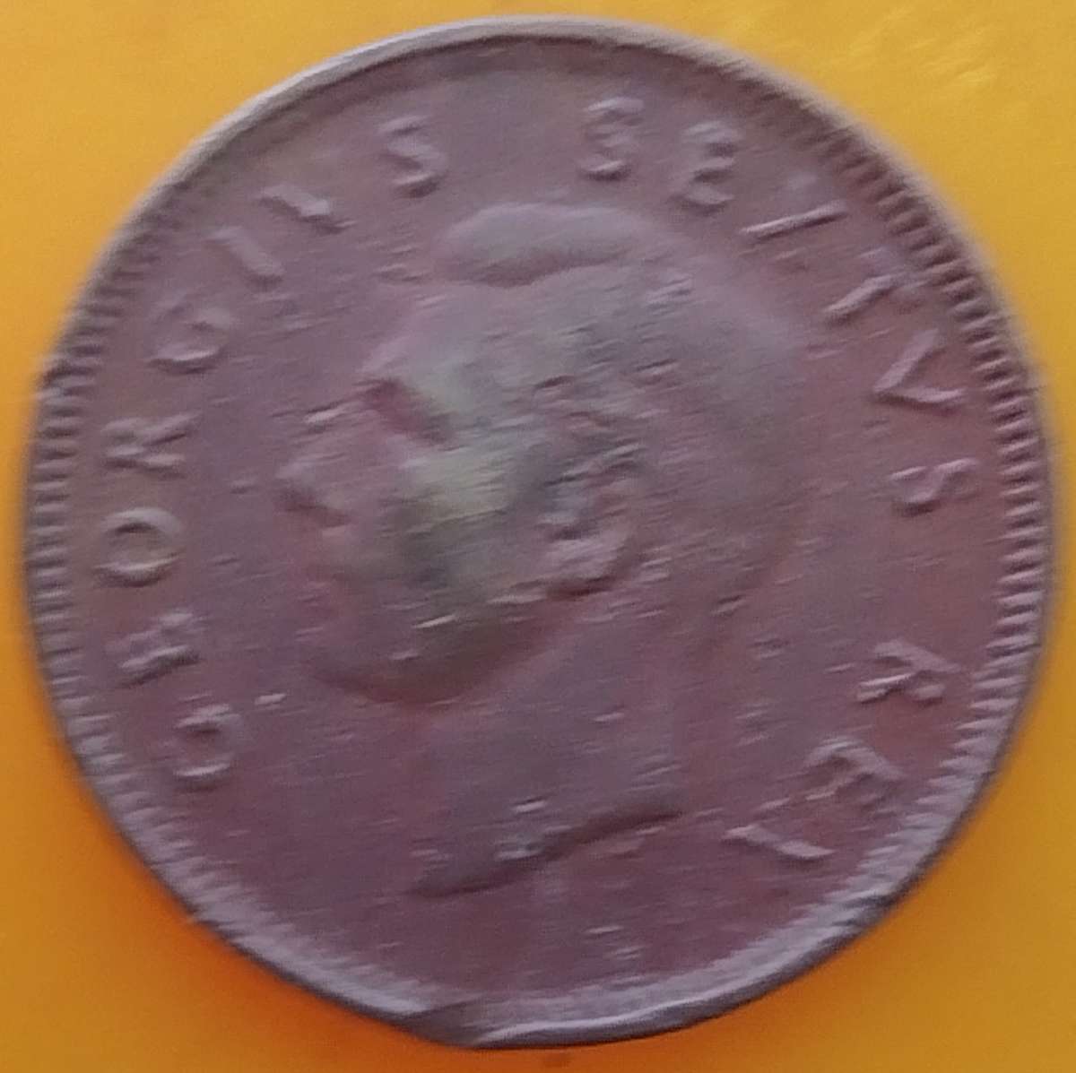 1950       QUARTER  PENNY  COIN        SA                       SUN15433