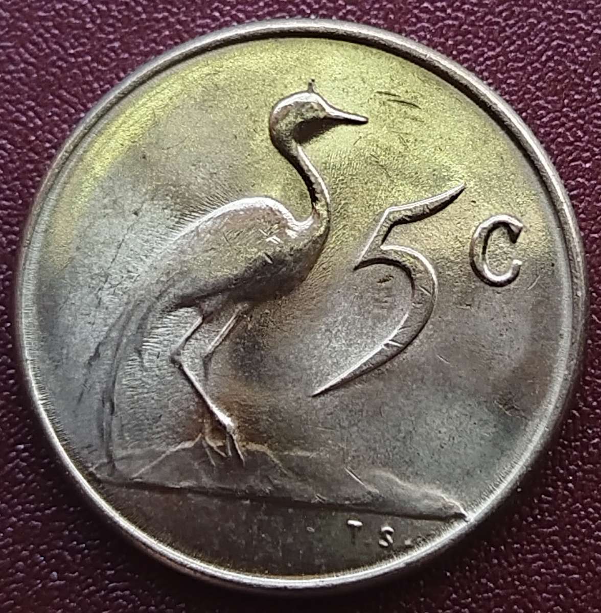 1965   5c   COIN   (Afrikaans)       SUN15452