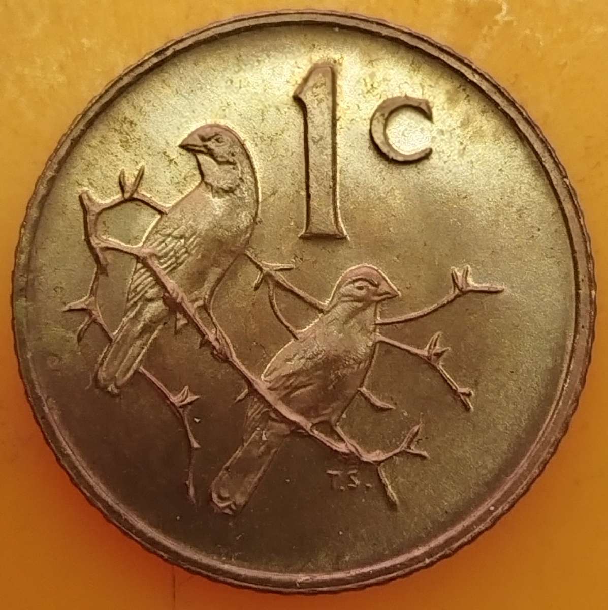 1976   1c   Coin             SUN15462