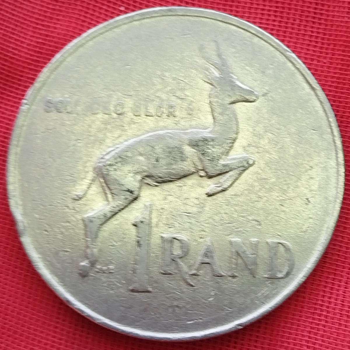 1984   R1   COIN      RSA           SUN15497