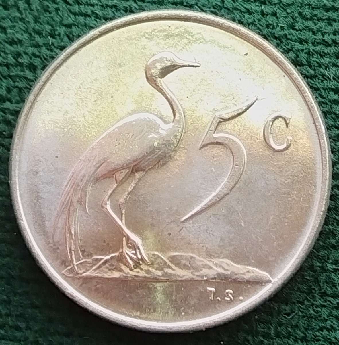 1965   5c   COIN   (Afrikaans)       SUN15759~