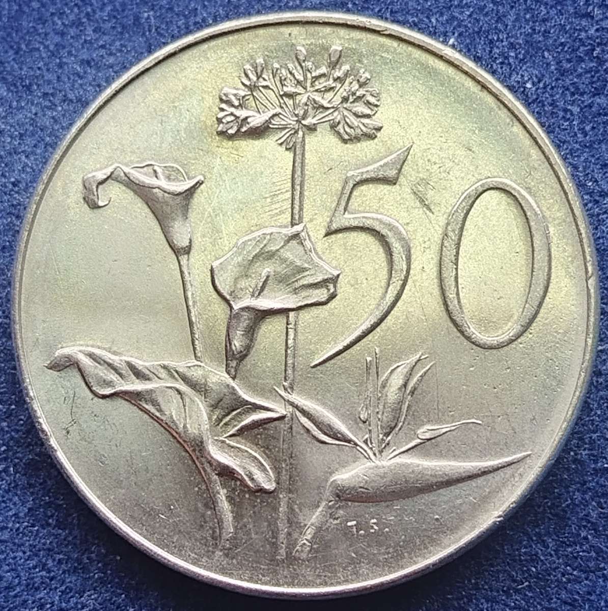 1966  50c   COIN   (Afrikaans)       SUN16457~