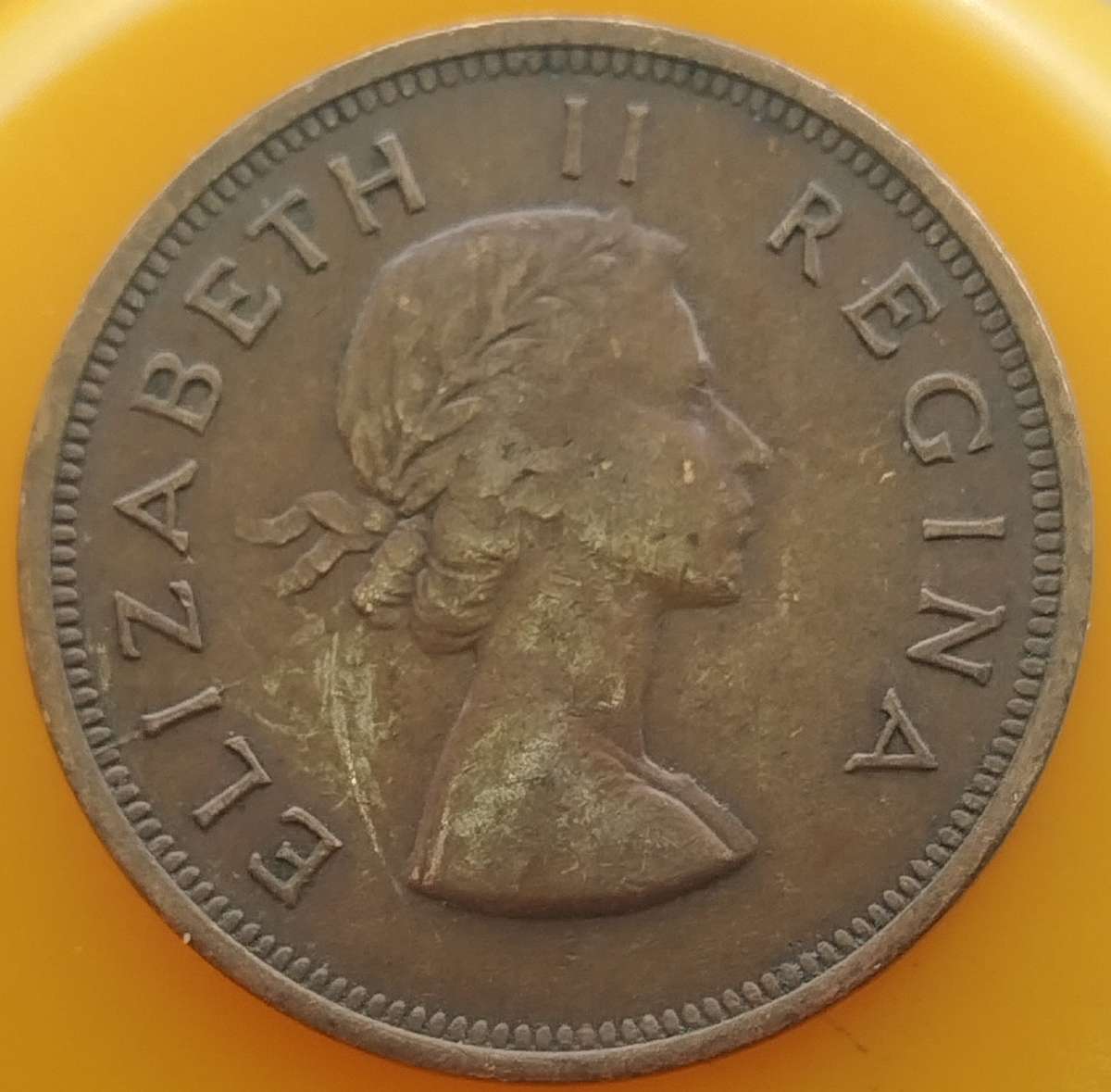 1955     PENNY  COIN        SA                       SUN16664~