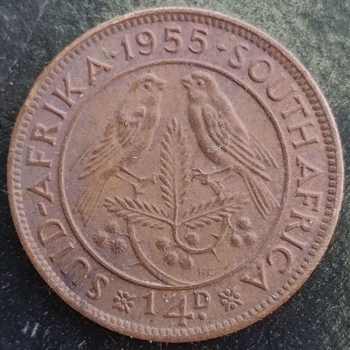 1955    QUARTER  PENNY  COIN        SA                       SUN16892