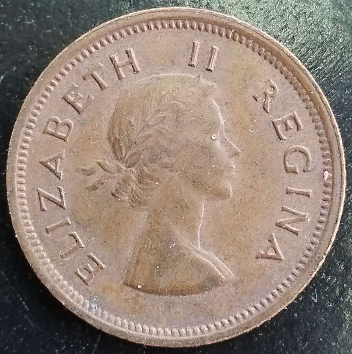 1955    QUARTER  PENNY  COIN        SA                       SUN16892