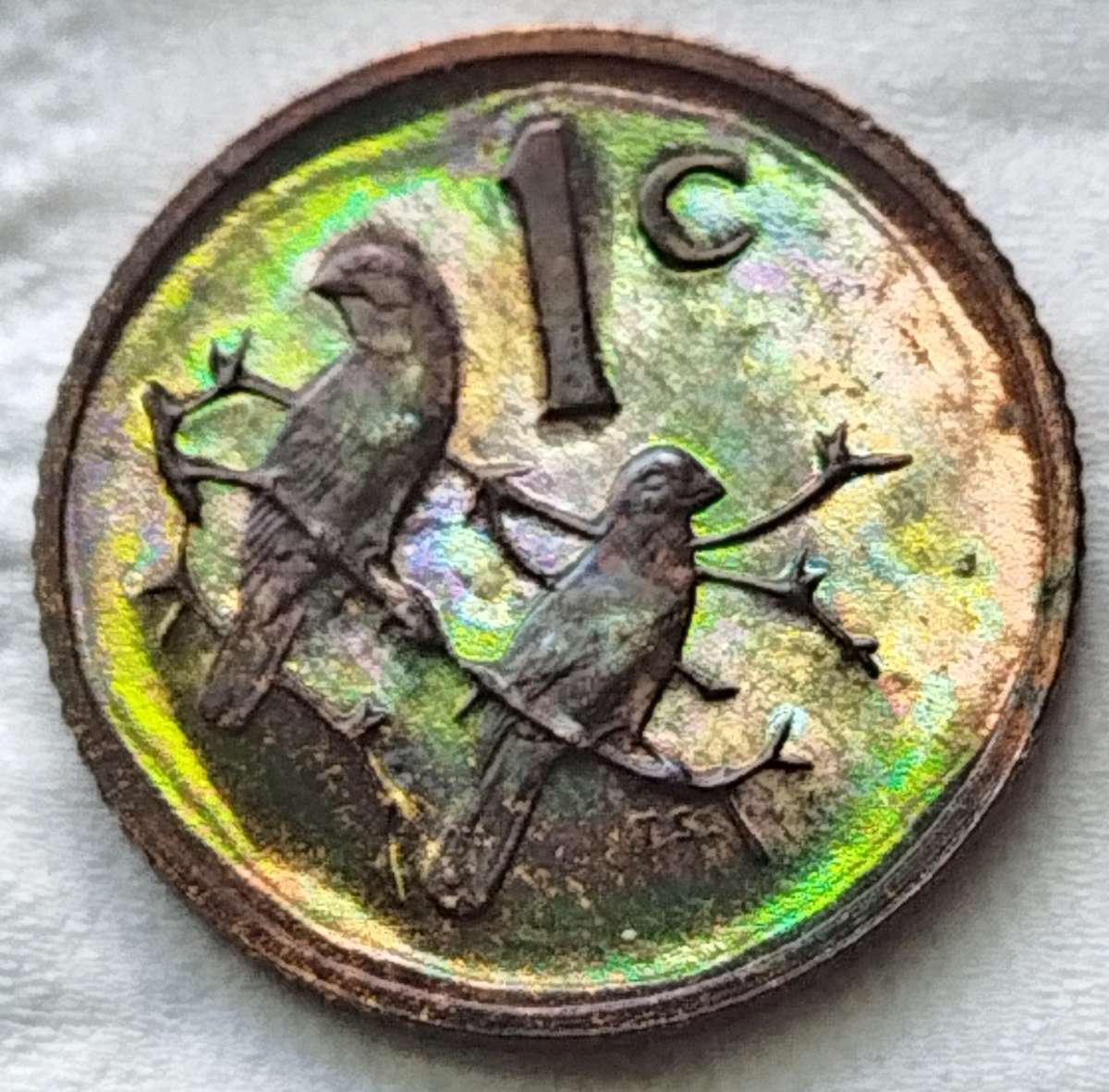 1983  1  Cent   Coin                SUN17058~