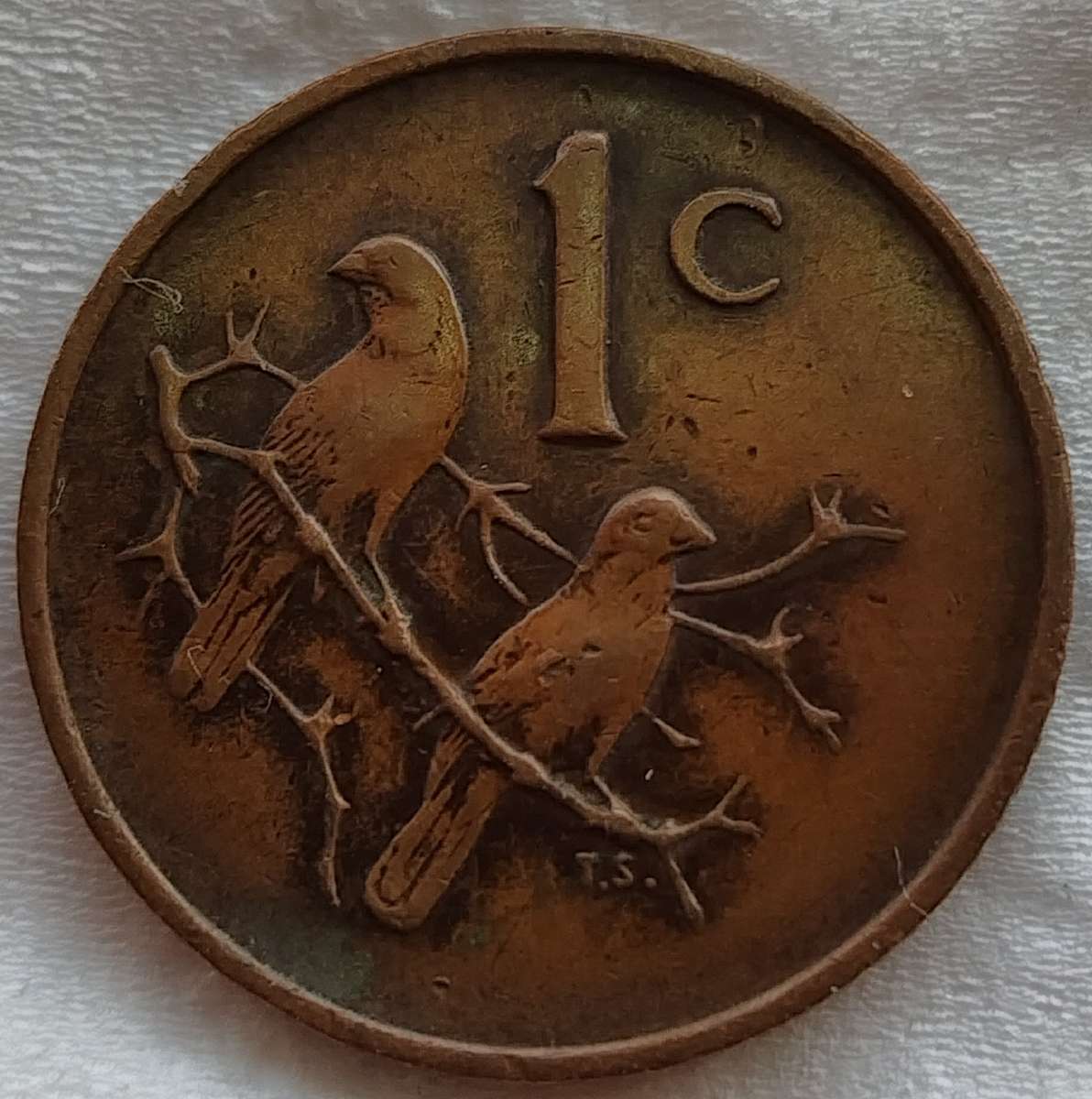 1966   1c   COIN   (Afrikaans)       SUN17219~
