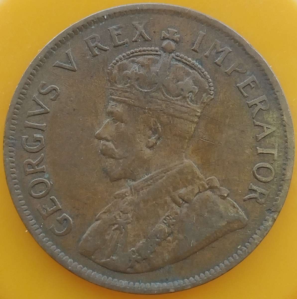 1929     PENNY  COIN        SA                       SUN17755~