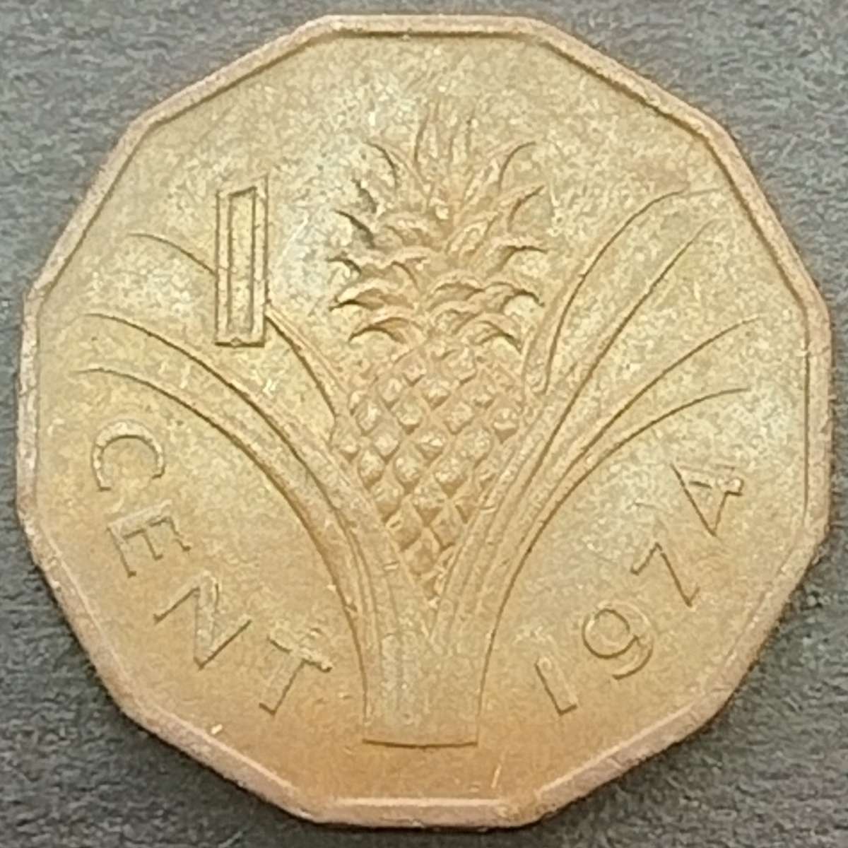 1974   1 CENT COIN       SWAZILAND                      SUN17903~