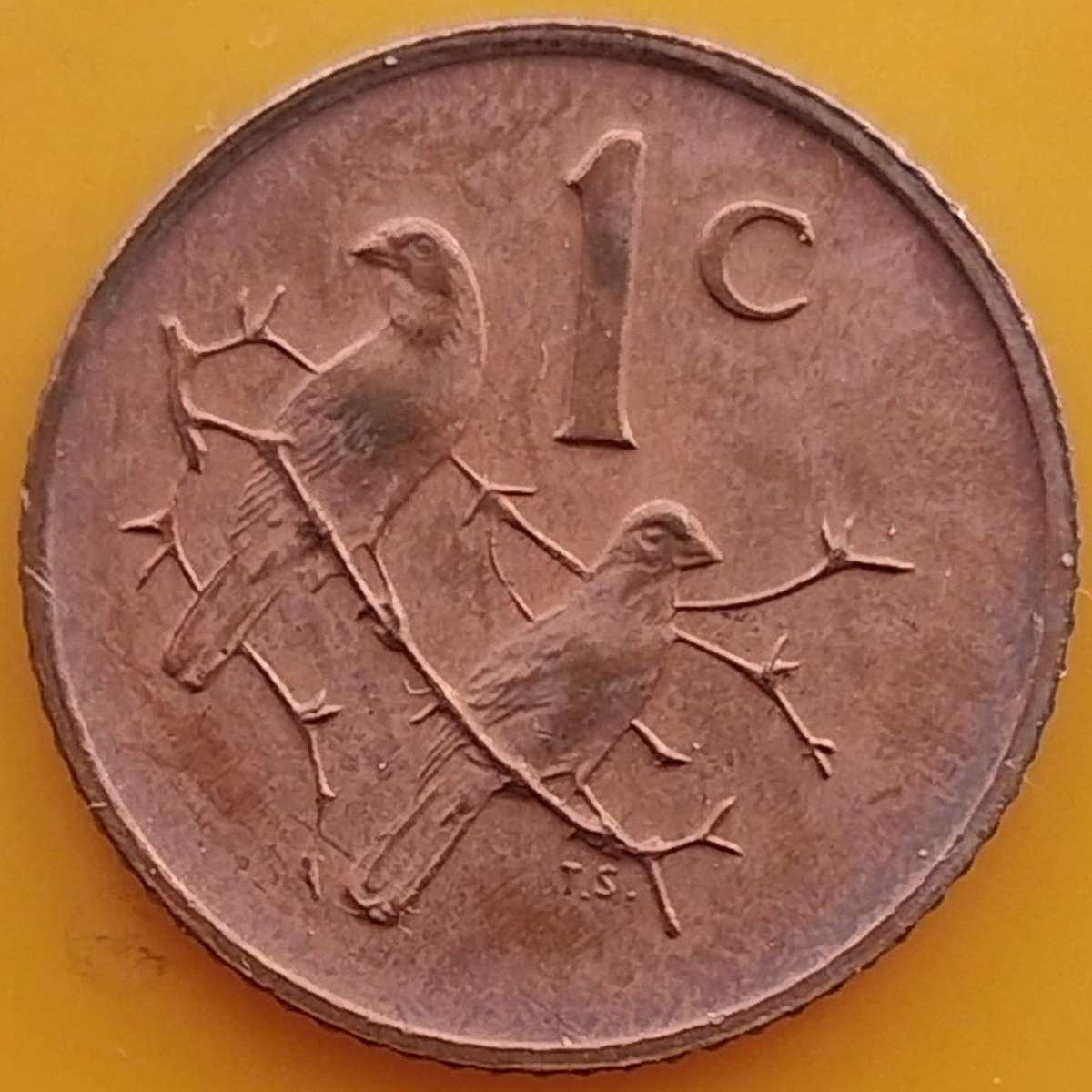 1972   1c   COIN  RSA                    SUN18132