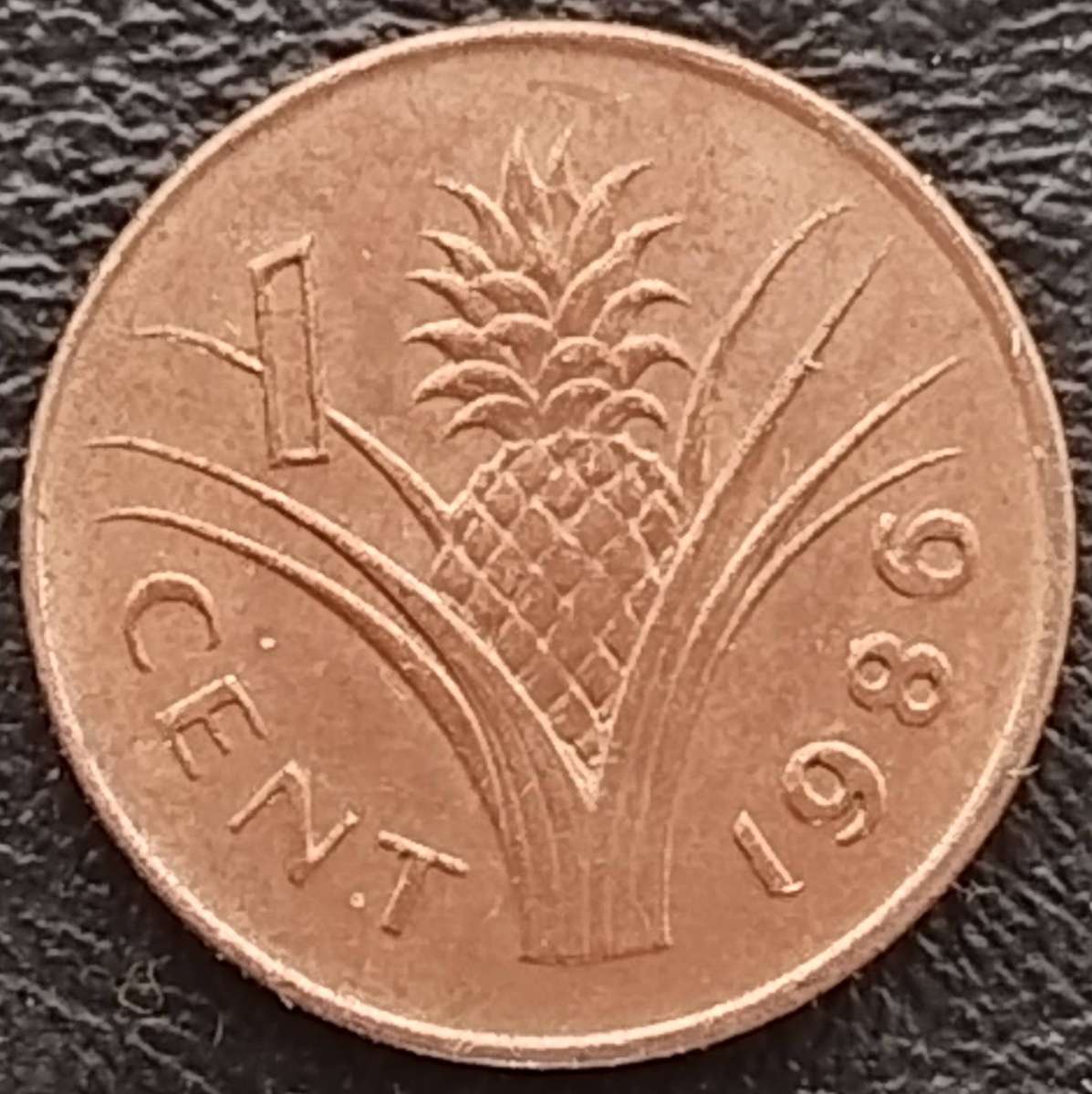 1986   1 CENT COIN       SWAZILAND                      SUN18255
