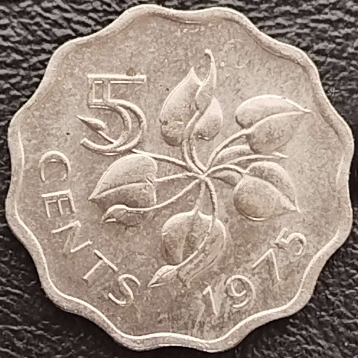 1975   5 CENTS COIN       SWAZILAND                      SUN18256