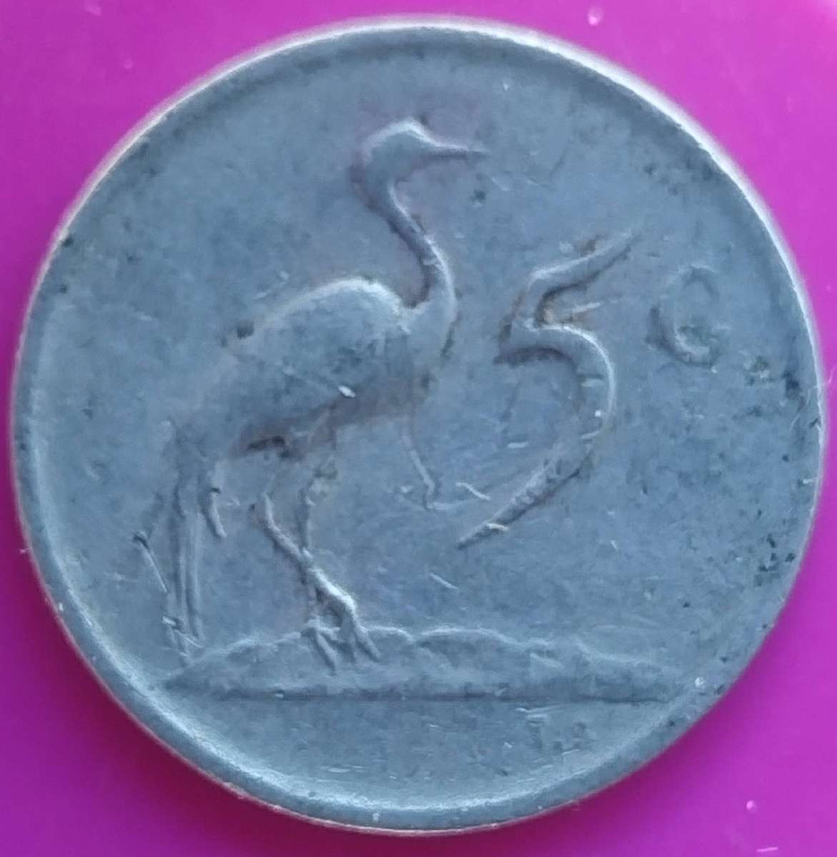 1976   5c  RSA                      SUN18631