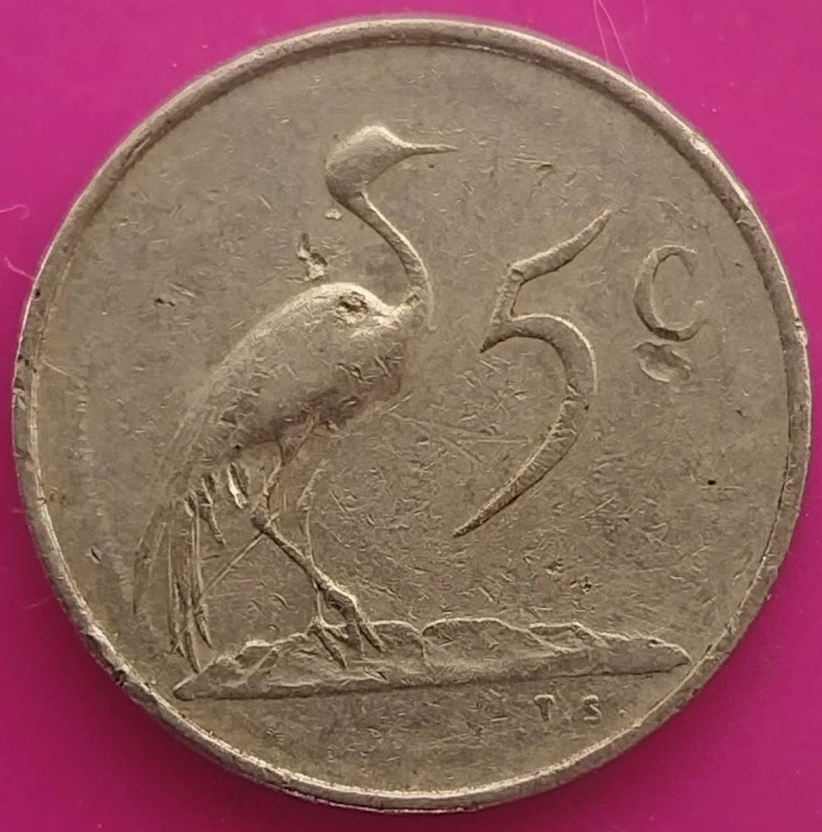 1981   5c   Coin                18717