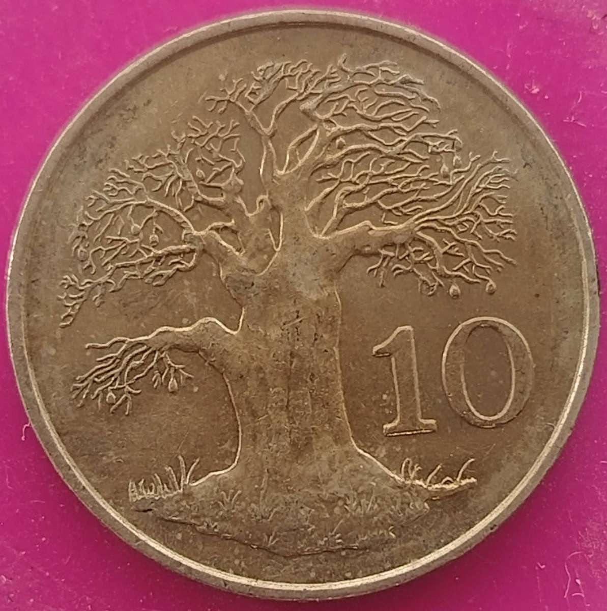 1980    10 Cents  Coin            Zimbabwe     18770
