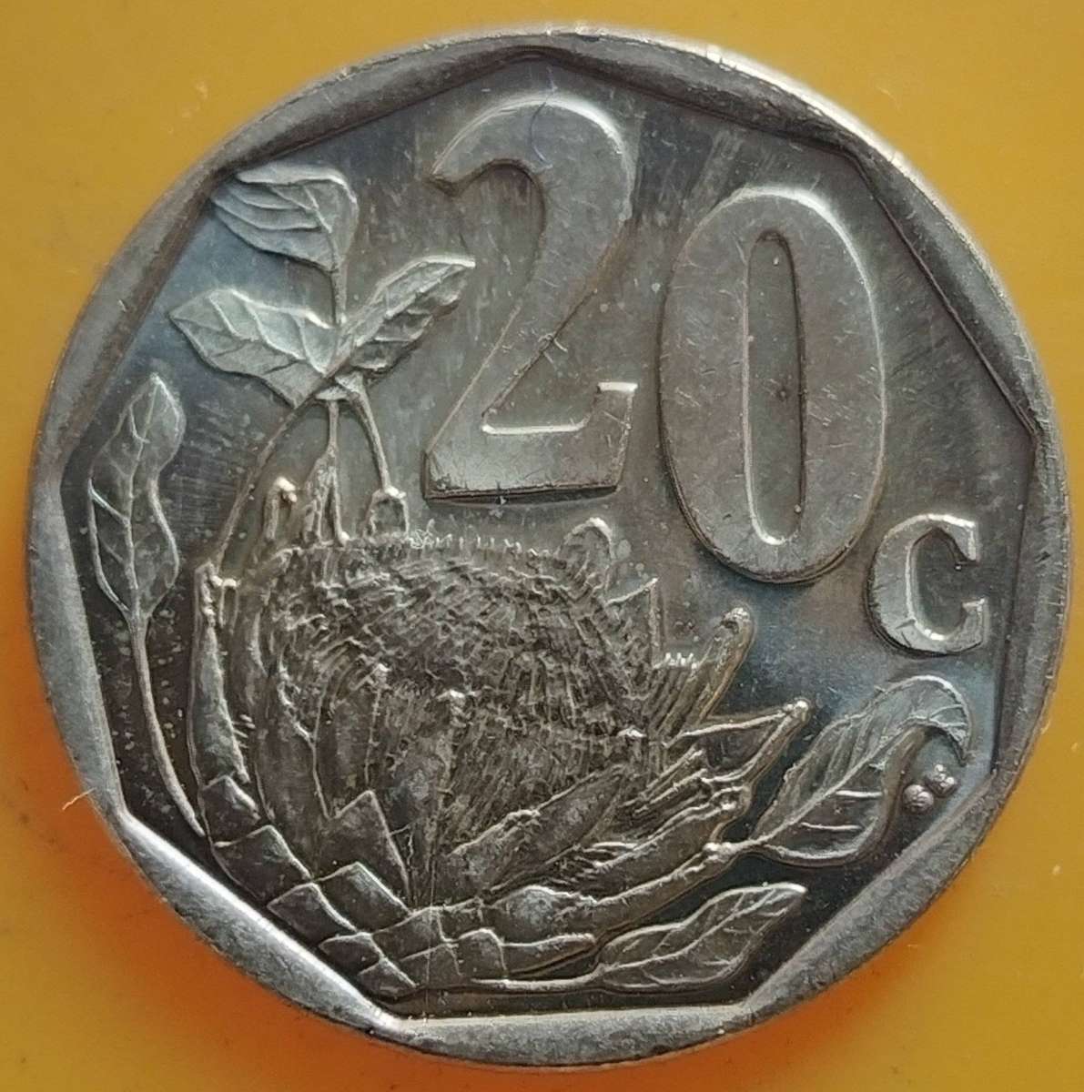 2020   5c Coin     RSA                      SUN18850