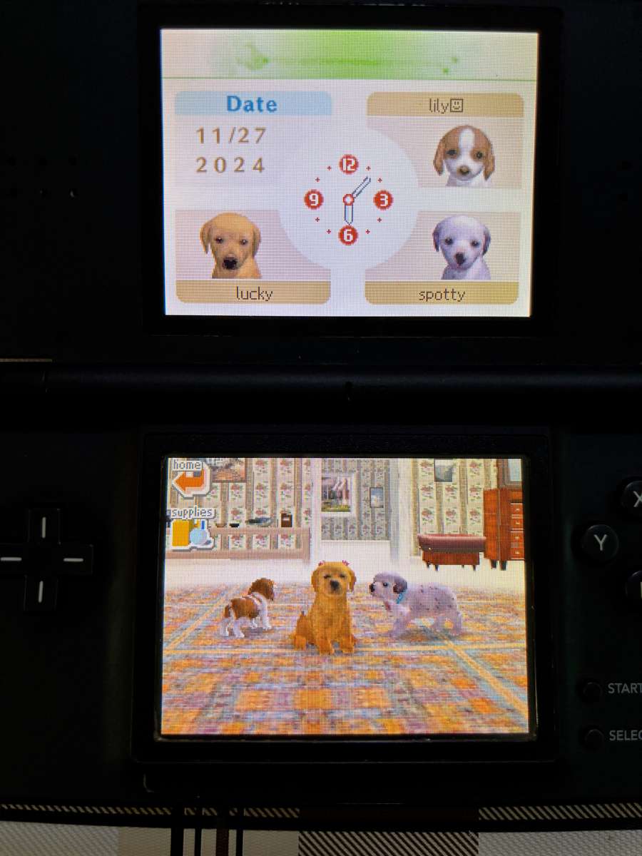 black Nintendo DS Lite with charger, stylus & free game