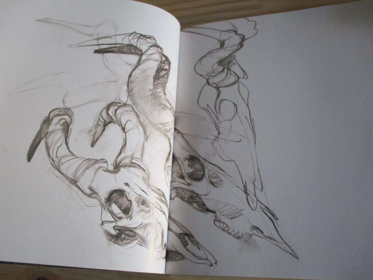 DYLAN LEWIS - An Untamed Force - Signed copy