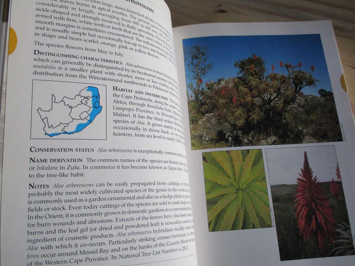 Guide to ALOES of South Africa